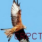 crpct